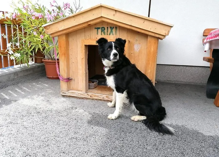 Blasinghof Appartamento *