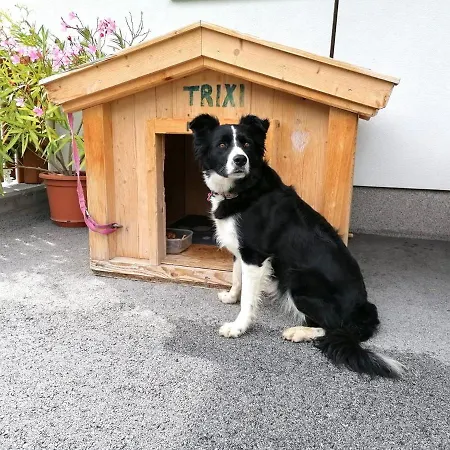 Blasinghof Lägenhet *